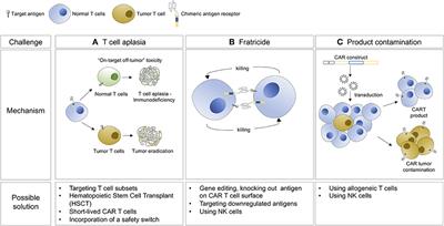 CAR-Based Approaches to Cutaneous T-Cell Lymphoma